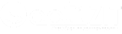 OptiZIT Logo